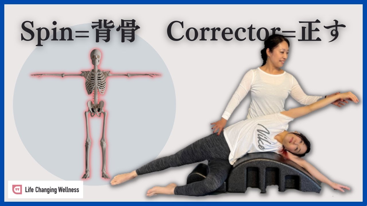 スパインコレクター　ピラティス ピラティスのスパインコレクターについて解説！ - Well-being Guide