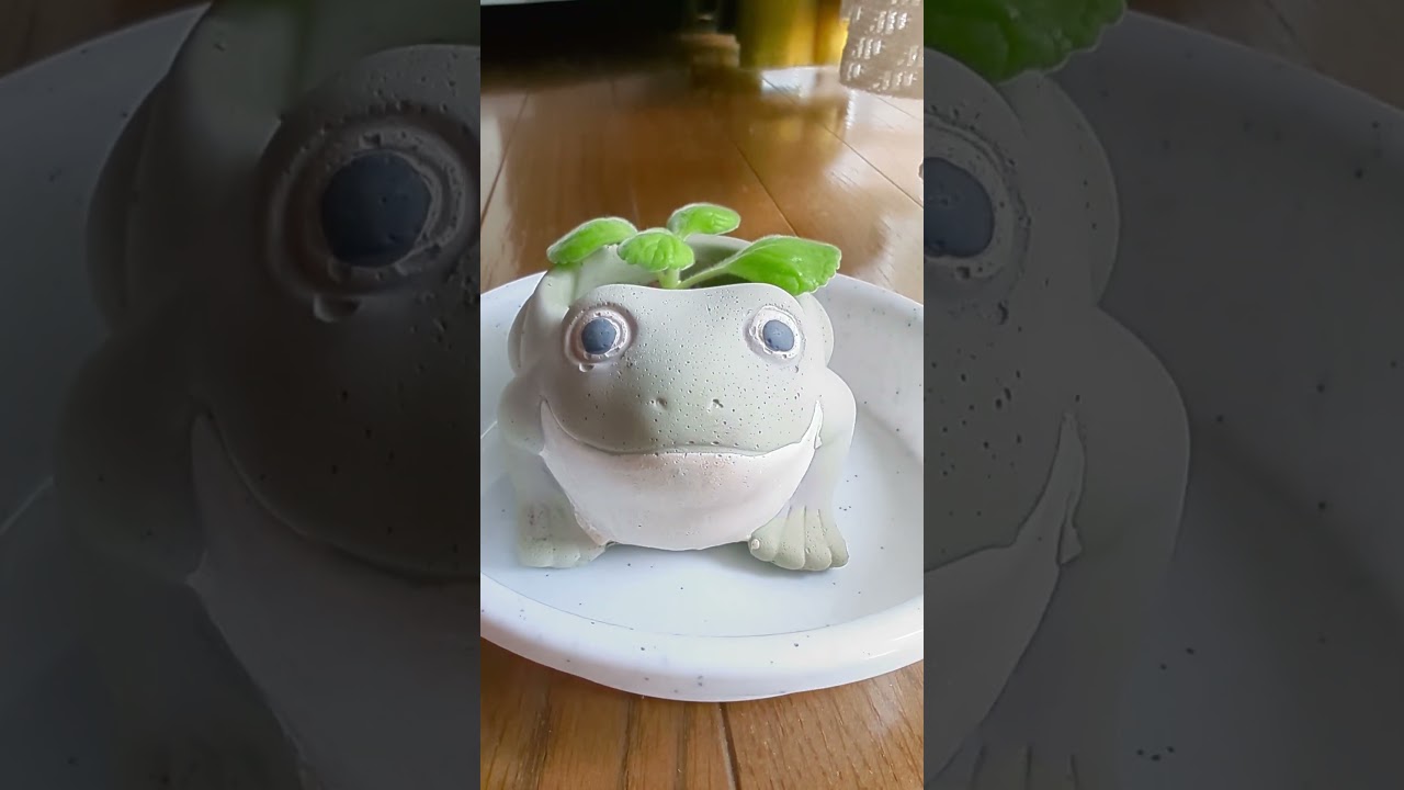 Adorable Frog Animal Pot #animalpot #shorts - YouTube