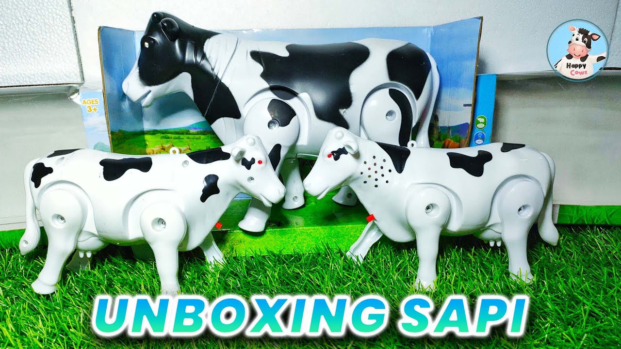 Mainan Sapi Unboxing Mainan Sapi - Anak Sapi - Sapi Lucu - Sapi Joget - Cow - Sapi ...