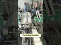 Cartoning Machine