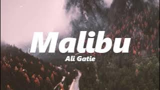 Ali Gatie - Malibu (slowed   reverb)