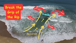 Famous Rip Currents: A Hidden Danger Net Worth