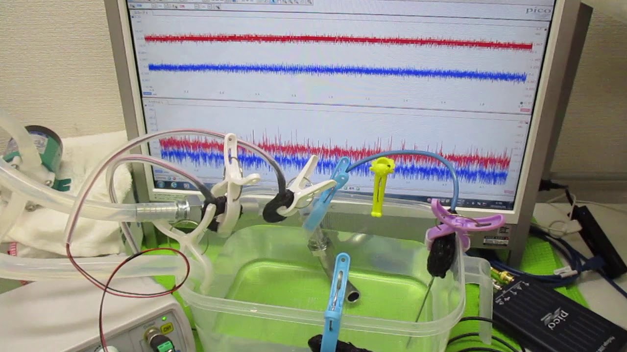 超音波療法 水中法 – 超音波療法 ストローク法 _ 超音波療法の基礎と臨床応用 – SHQAR
