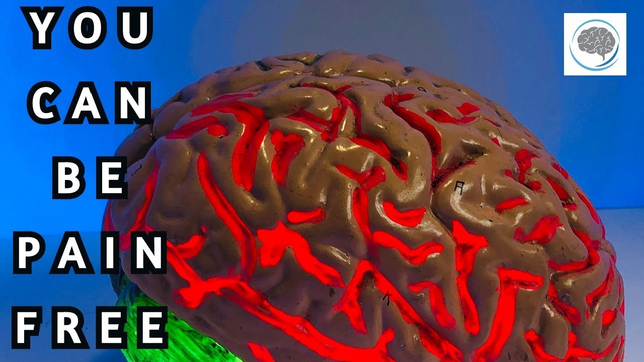Why do we have pain - The way pain works in your body and brain
