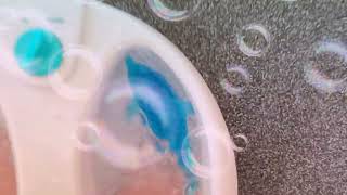 Cute little orbies toy pet blue dolphin swimming in a foot spa with loads of bubbbles by Hakas, kittens and more 8 views 1 year ago 9 seconds