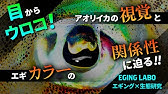 潮の流れ攻略編 動画で学ぶ エギングステップアップ講座 Youtube