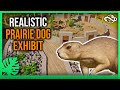 Realistic Prairie Dog Exhibit & Zoo Entrance! - Sugarpine Zoo