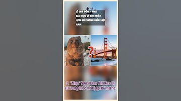 Lê Quý Đôn – Nhà Bác Học Vĩ Đại Nhất Lịch Sử Phong Kiến Việt Nam