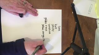 Shape Poetry Lesson