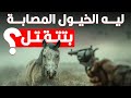 ليه الخيول اللي رجليها بتتكسر بيضربوها بالنار بدل ما يعالجوها