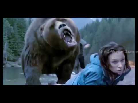 [BEST MOVIE SCENE HD] Angry Bear Fight scene