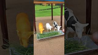 Diy mini tractor video mini water pump science project machine #ytshorts #cartoon #tractor