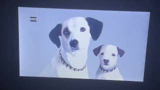 Opening To Bill And Ted Face The Music 2020 Dvd