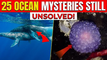 25 Biggest Ocean Mysteries Scientists Still Can’t Explain