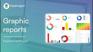 How do graphic reports work in the FlexiProject tool?