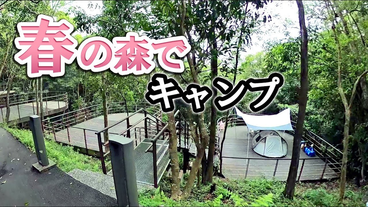 春の森でキャンプ/新幕KOVEAポップアップテントでらくらく設営/碧山