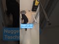 #hundementalist #hundetraining