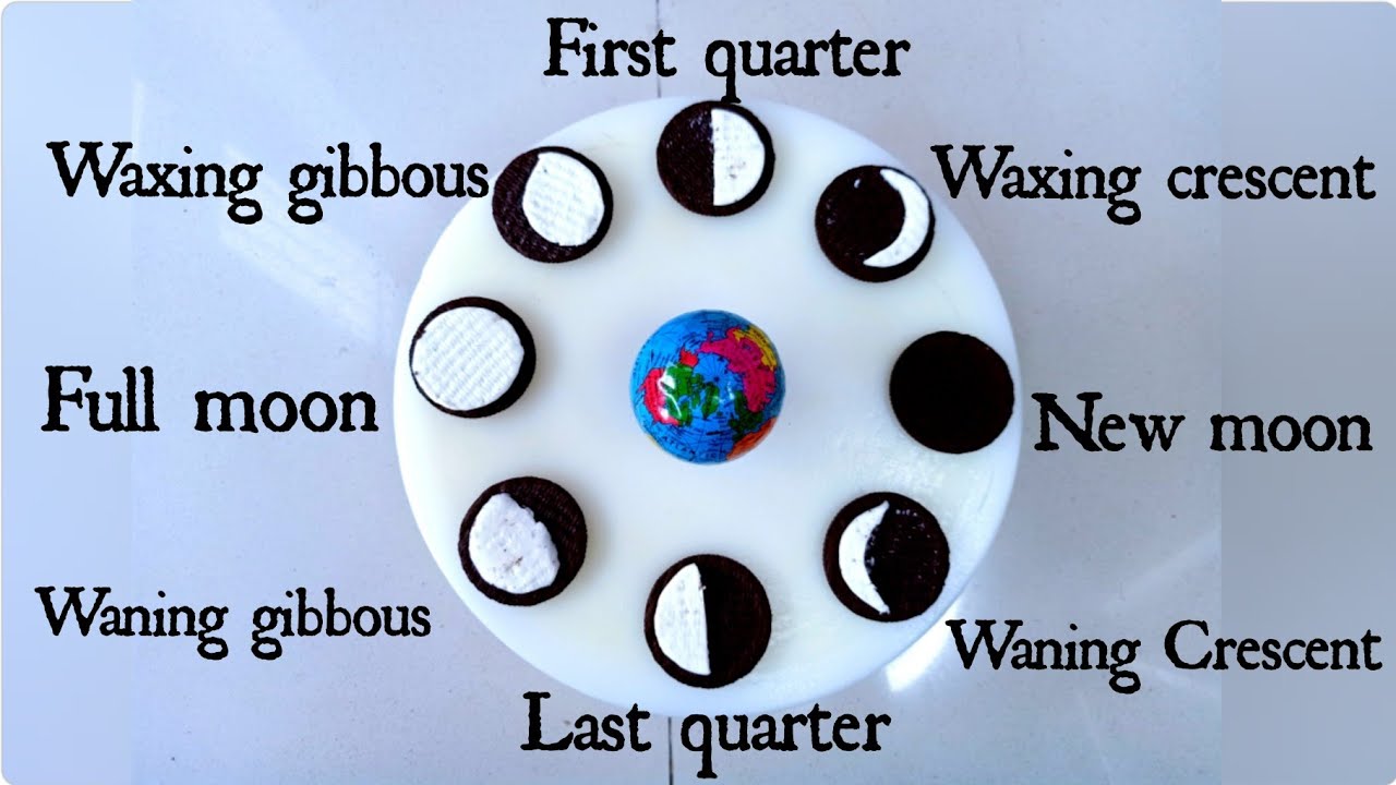 Fun learning with biscuits Oreo cookies phase of moon Facts about