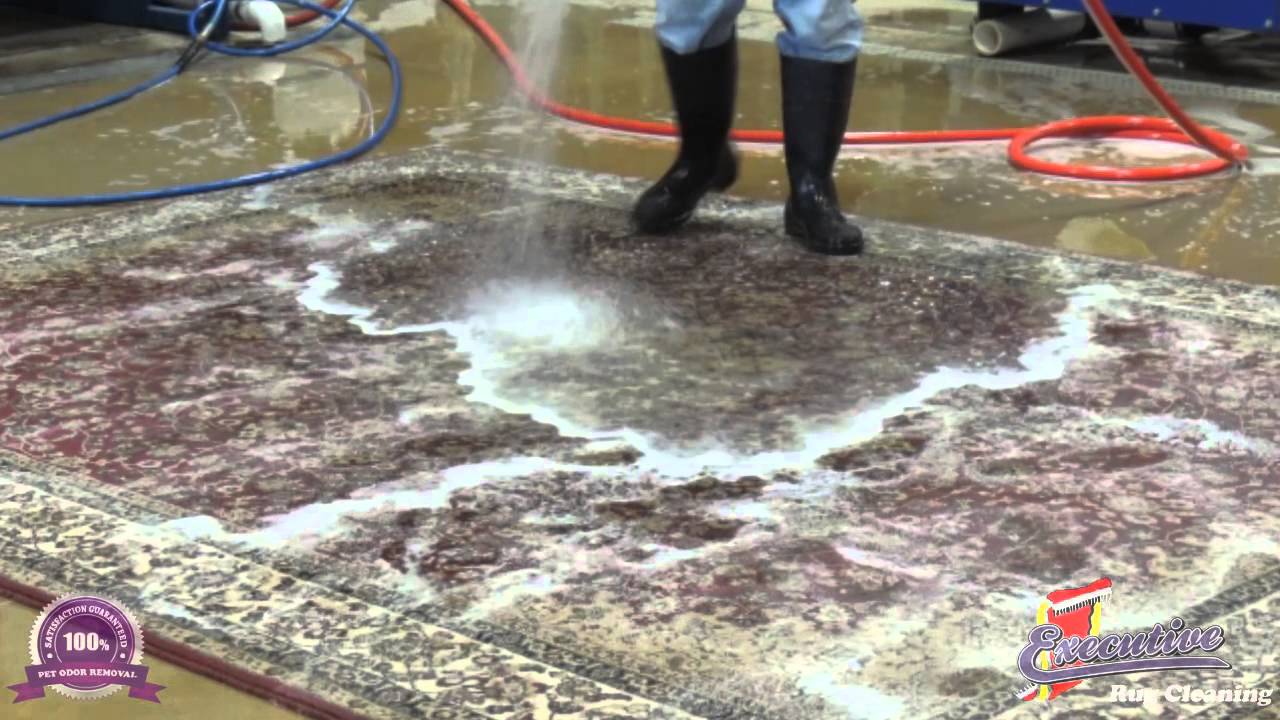 Rug Cleaning Experts Edmond YouTube