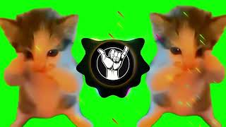 DJ KICAU MANIA REMIX X KUCING JOGET KICAU MANIA ll GASPOL NDANGAK VIRAL TIKTOK ll AKBAR CHALAY 