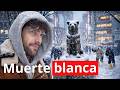 Nadie está Preparado para el INVIERNO de Japón