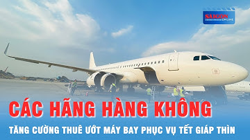 Các hãng hàng không tăng cường thuê ướt máy bay phục vụ Tết Giáp Thìn