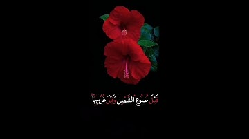 صباح الخير🌹اجمل حالات واتس اب🌹مقاطع قصيره🌹قران كريم سورة طه🌹فاصبر على ما يقولون🌹اسلام صبحي🌹بدون حقوق