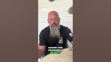 Teach the Emergency Down | Stop Your Dog Instantly at a Distance