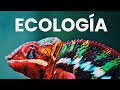 ¿Qué es la Ecología?