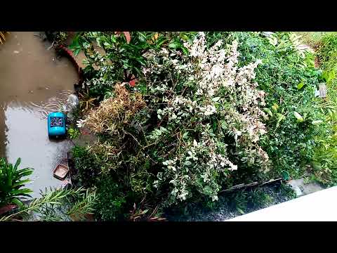 Typhoon Jolina