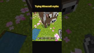 Trying Minecraft myths #minecraft #gaming