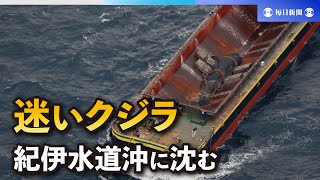 さよなら「淀ちゃん」　迷いクジラ、紀伊水道沖の海底に沈む