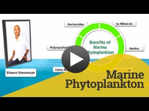 Marine Phytoplankton | BeWellBuzz.com