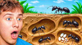 ONE HOUR Of Watching Ant Colony Simulations!