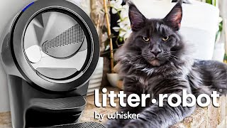 The Litter Robot Is The Best Litter Box For Your Cat