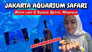 JAKARTA AQUARIUM AKUARIUM INDOOR TERBESAR!!! JAKARTA AQUARIUM SAFARI REKOMENDASI WISATA HITS JAKARTA