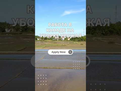 Работа в Канаде!