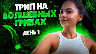 ГРИБНОЙ РЕТРИТ ДЕНЬ 1 | ТРИП РЕПОРТ #растенияучителя #ретрит