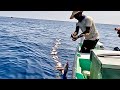 Deep Sea Fishing for Rosy Snapper