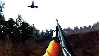 Michigan Grouse Hunting