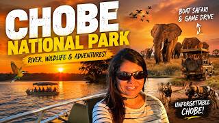 Part 2 SOUTHERN AFRICA ADVENTURE - Chobe National Park Vlog | Bhavna's Kitchen & Living