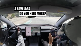 Do You Need a Tesla Model 3 Performance? | Track day with LR