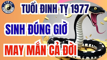 Tuổi Đinh Tỵ 1977 sinh giờ này cầu gì được nấy, cả đời may nắn, phú quý giầu sang