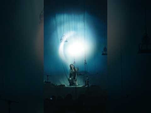 live videos available plague dogs - harvest sky - blade bird 🌊 #oklou #live