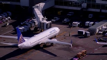 How to turn "Alexa" into your travel agent