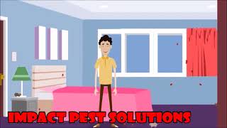 Pest Control Sunshine Coast Video