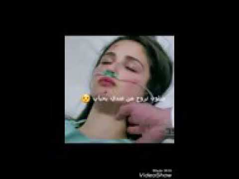 الك جادر بنص كلبي ينصبونه