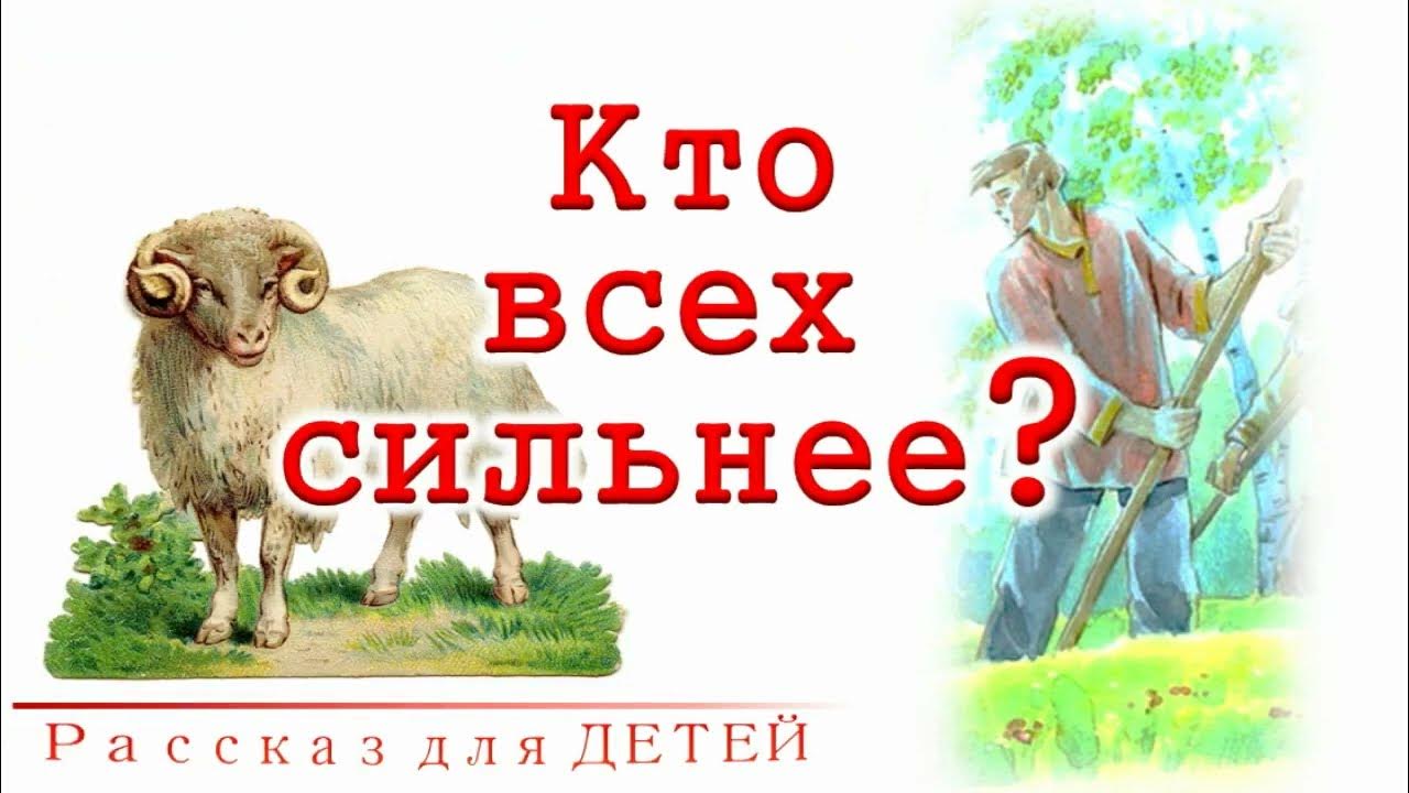 Рассказ кто сильнее