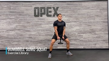 Dumbbell Sumo Squat