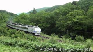 2013年8月24日(土)今日の特急「オホーツク1号」11D キハ183系 網走行
